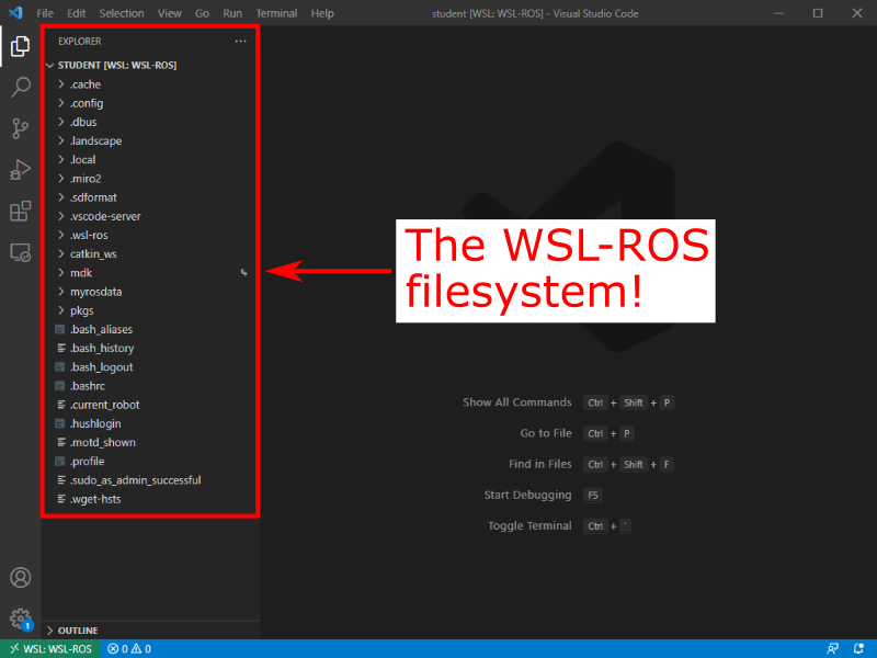 WSL Filesystem